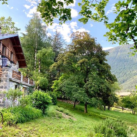 Chalet Le Tilleul Valdeblore Dış mekan fotoğraf