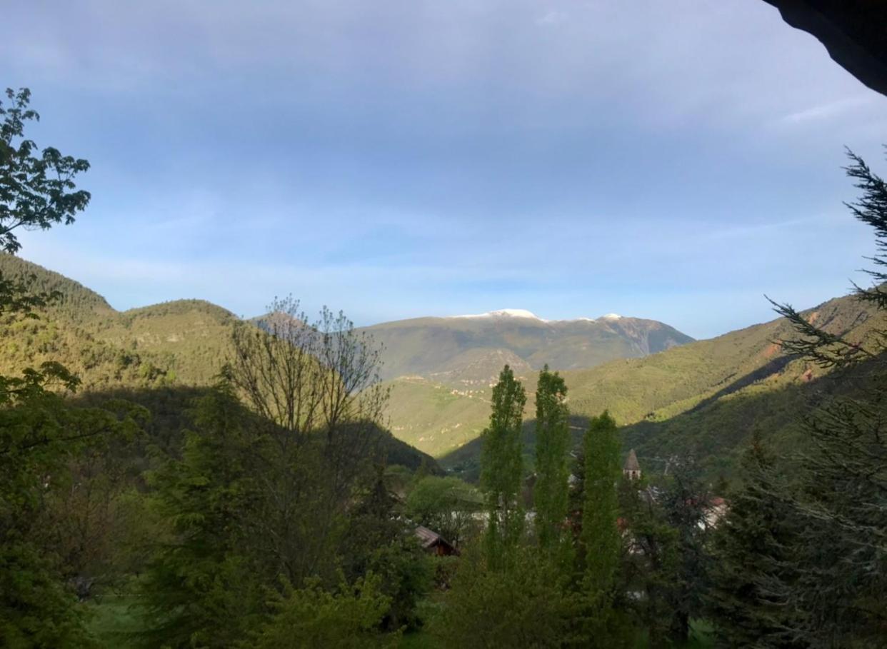Chalet Le Tilleul Valdeblore Dış mekan fotoğraf