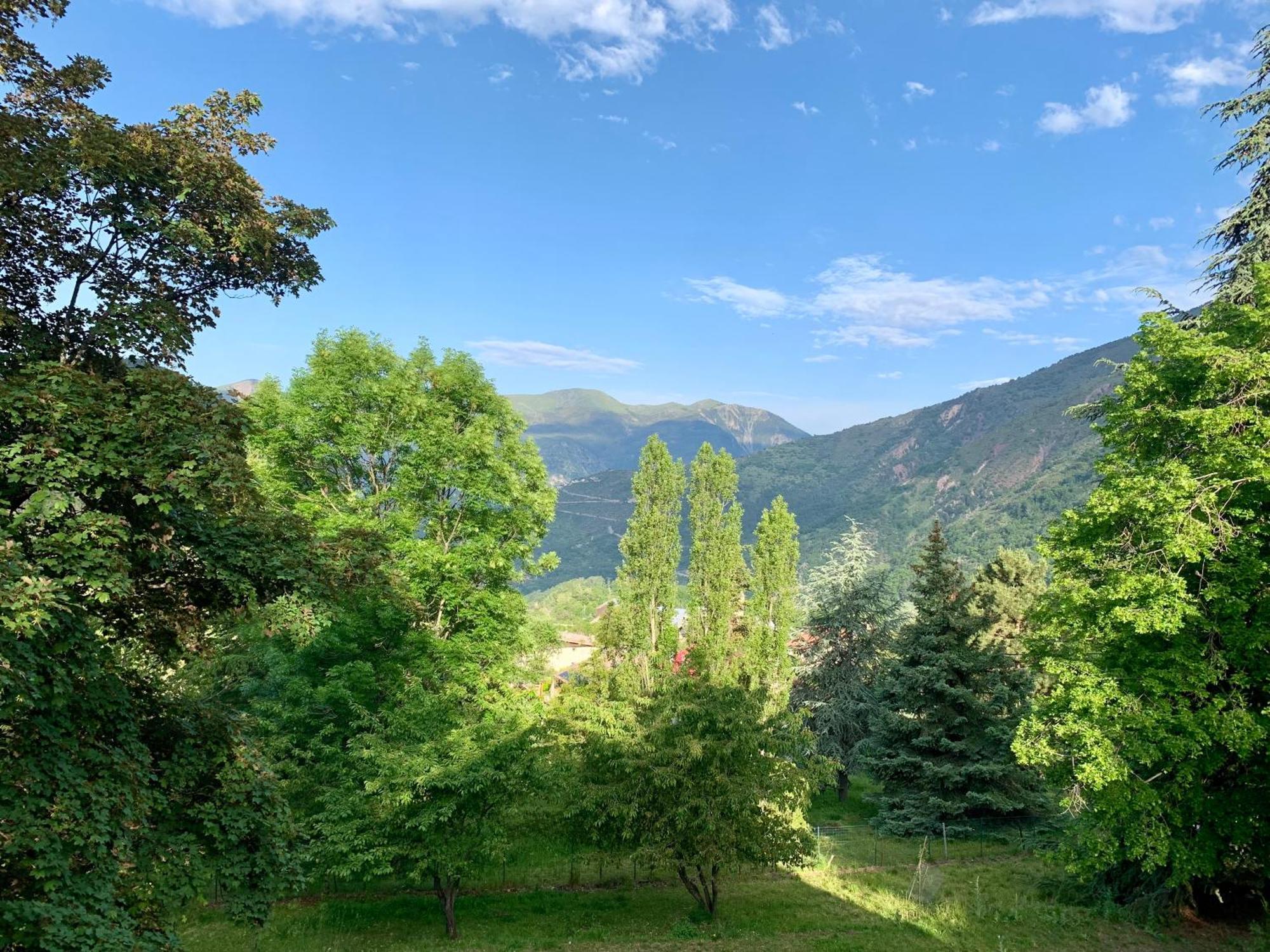 Chalet Le Tilleul Valdeblore Dış mekan fotoğraf