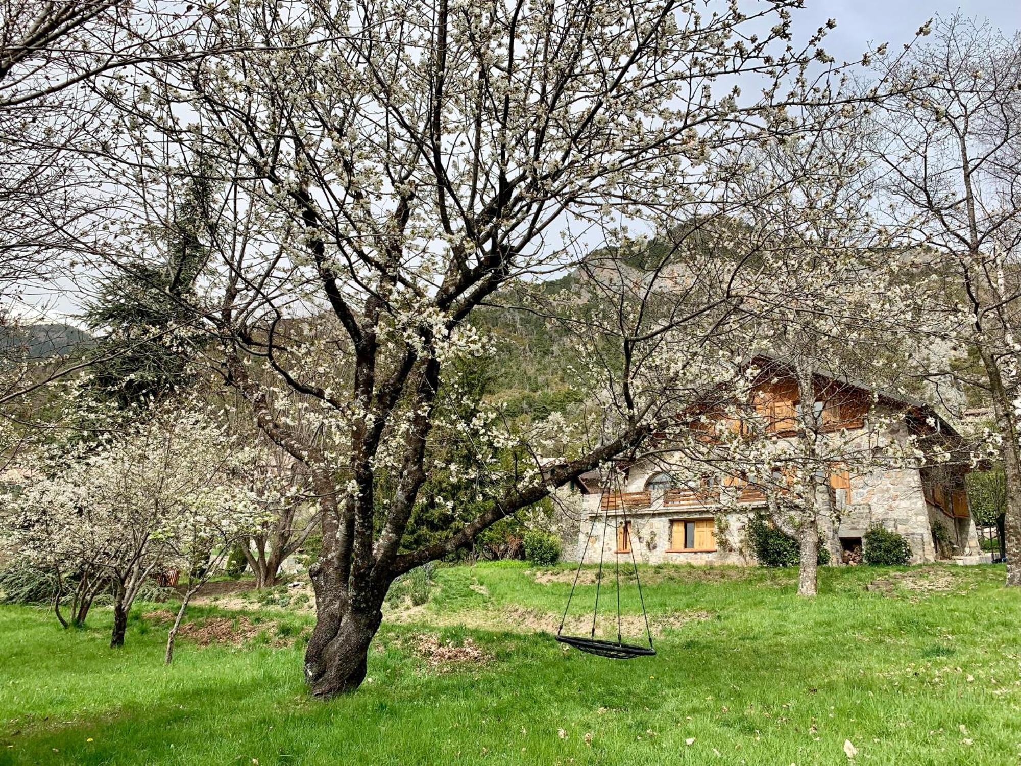 Chalet Le Tilleul Valdeblore Dış mekan fotoğraf