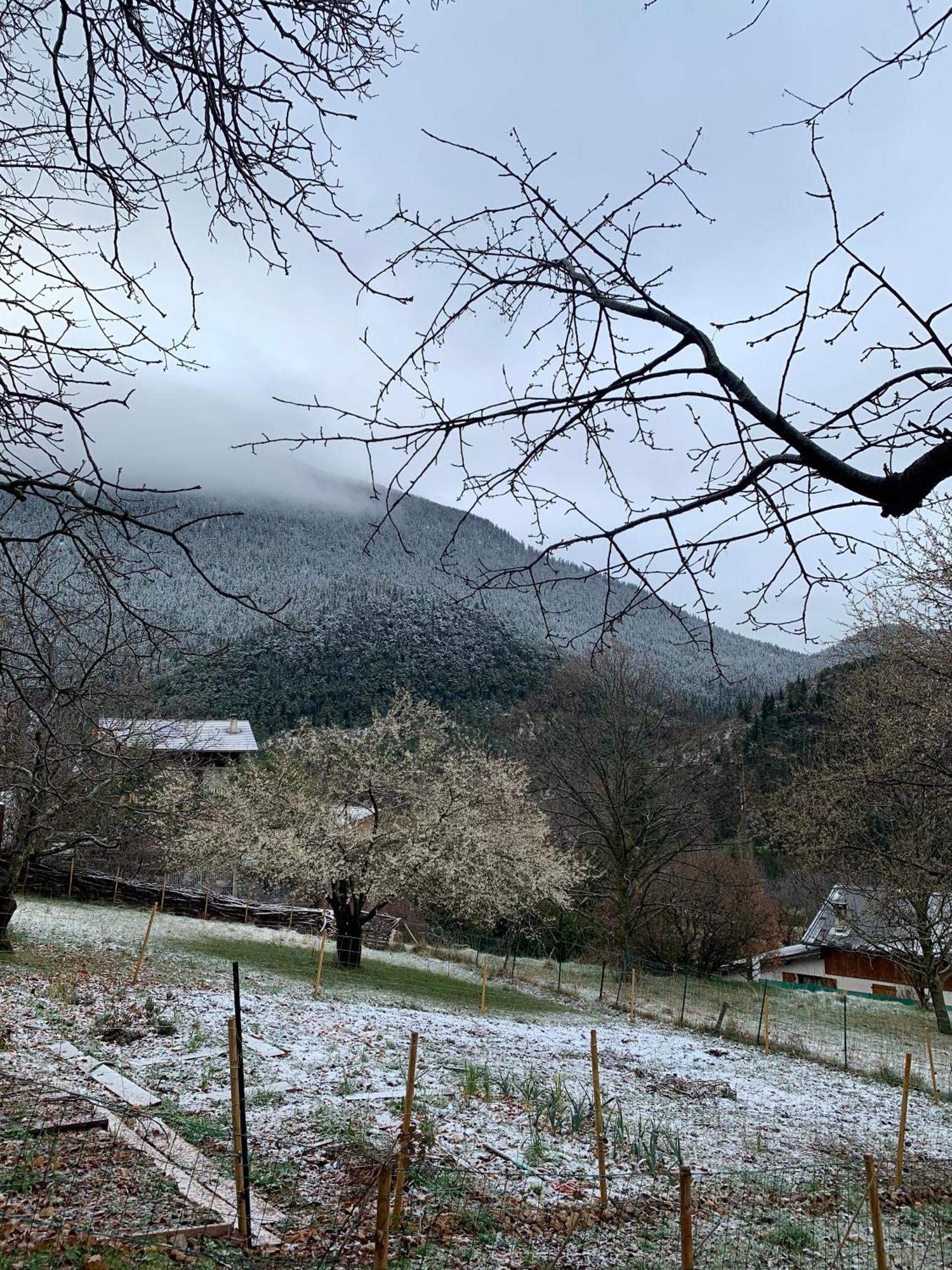 Chalet Le Tilleul Valdeblore Dış mekan fotoğraf