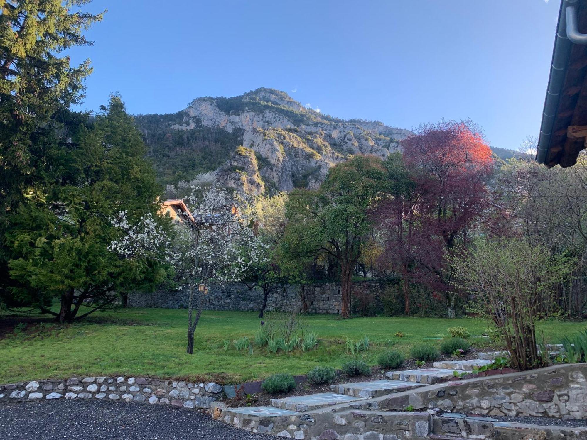 Chalet Le Tilleul Valdeblore Dış mekan fotoğraf