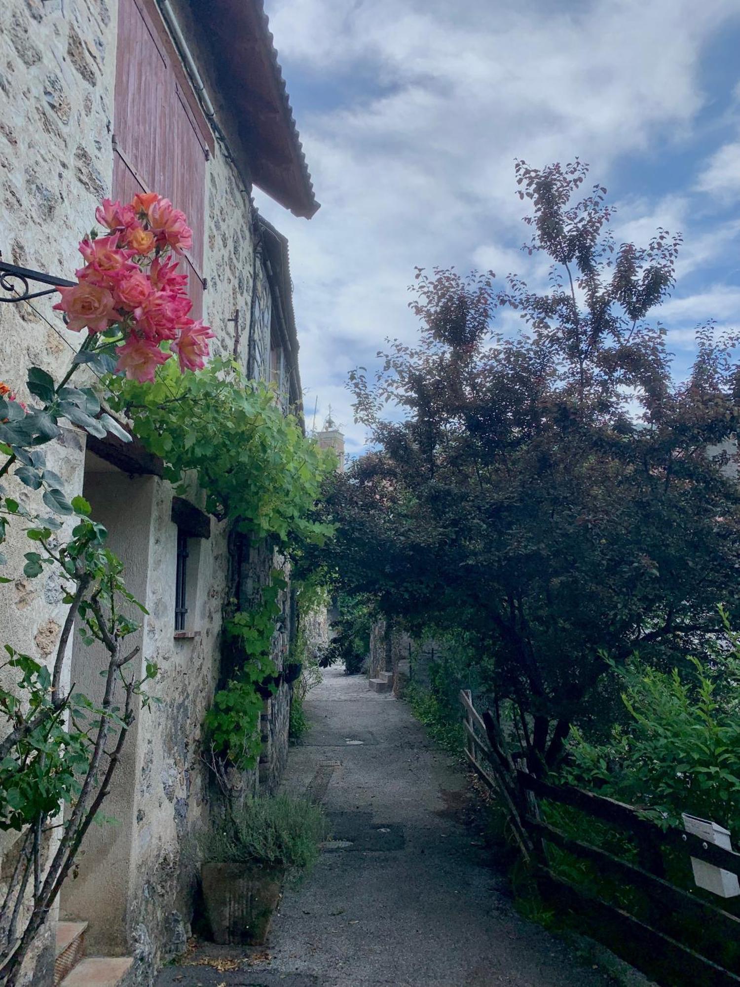Chalet Le Tilleul Valdeblore Dış mekan fotoğraf