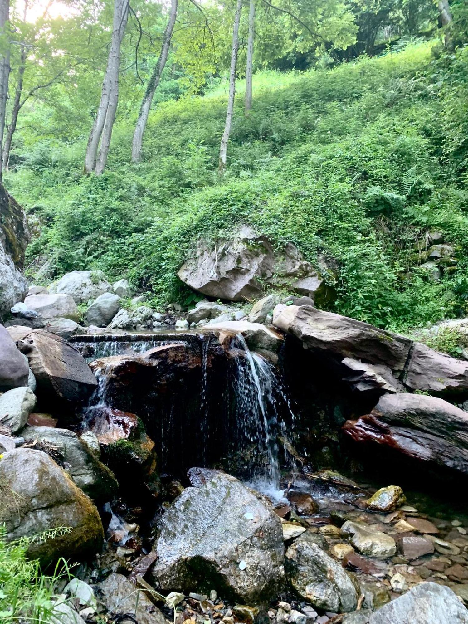 Chalet Le Tilleul Valdeblore Dış mekan fotoğraf