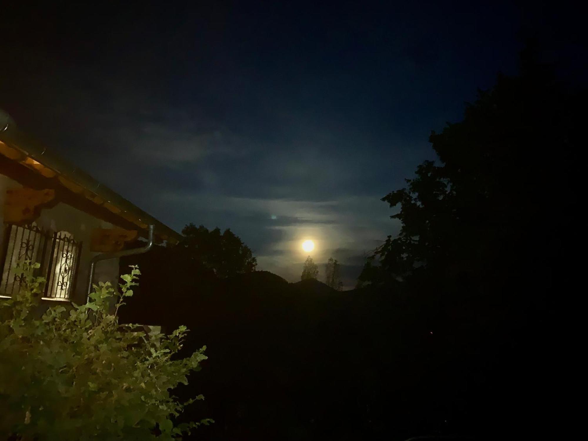 Chalet Le Tilleul Valdeblore Dış mekan fotoğraf