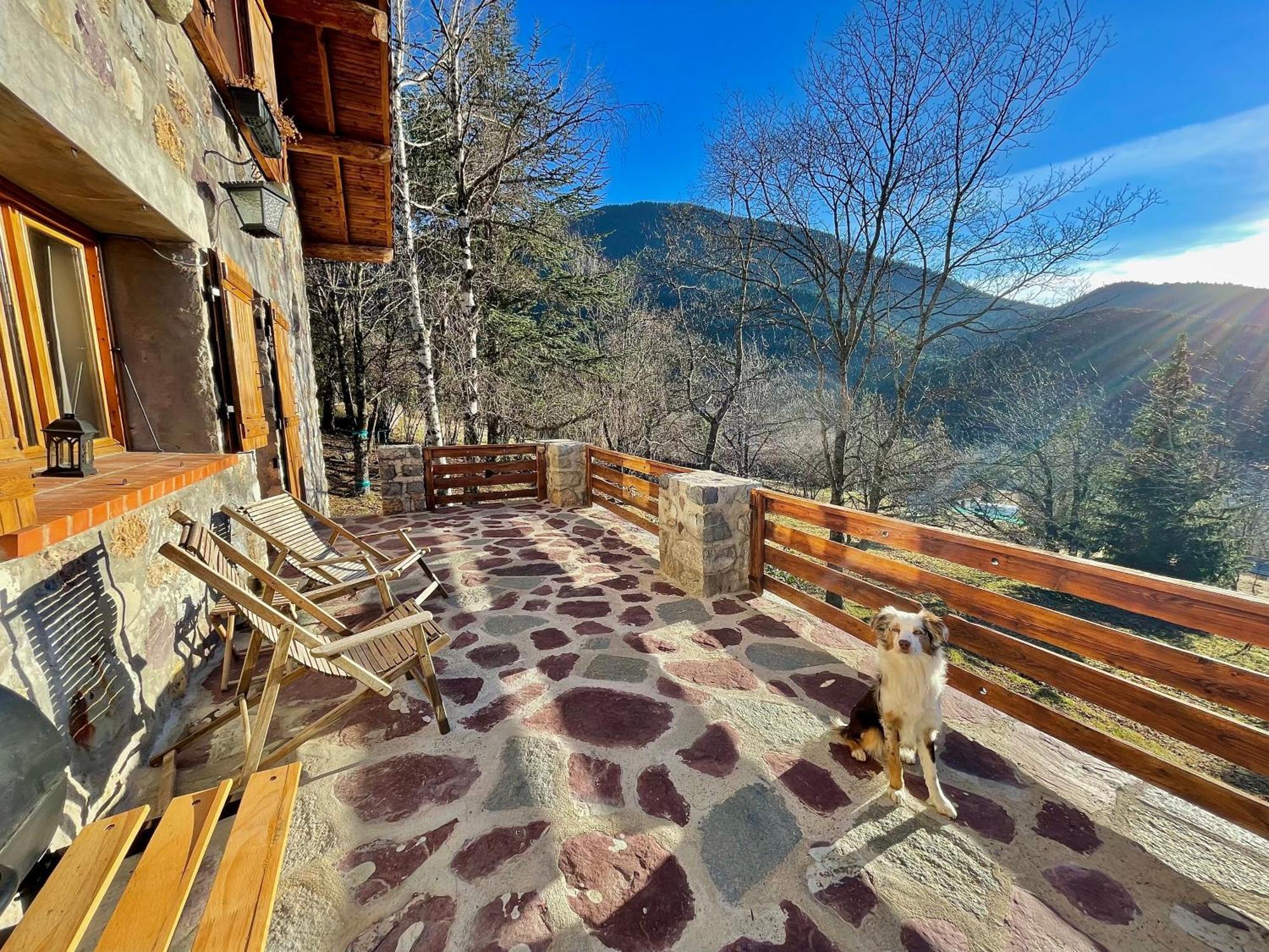 Chalet Le Tilleul Valdeblore Dış mekan fotoğraf